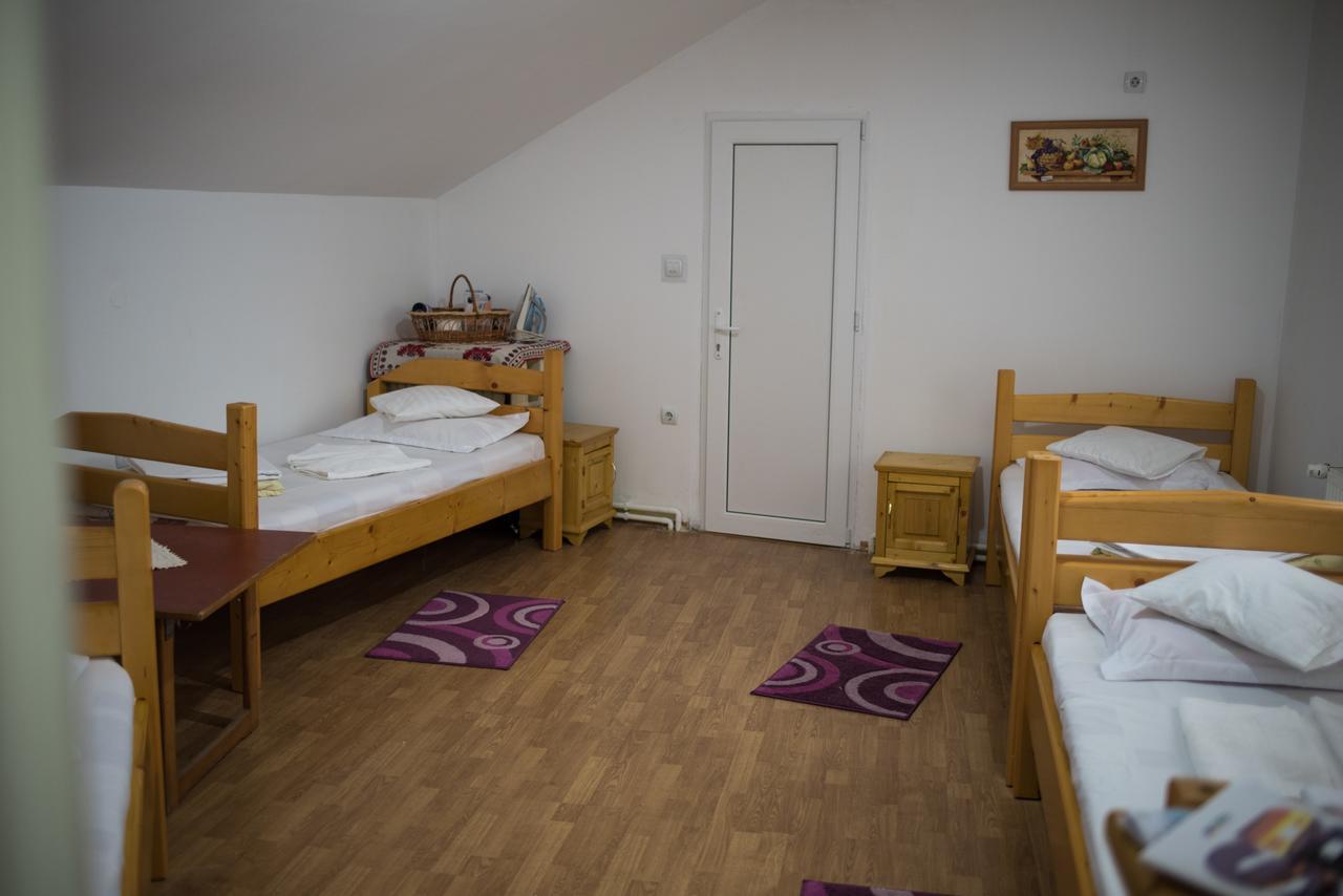 Pensiunea George Gura Rîului Exteriér fotografie