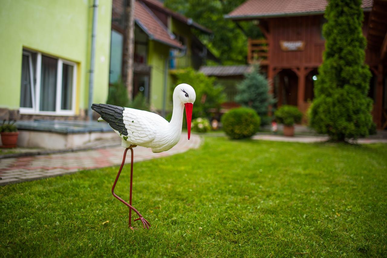 Pensiunea George Gura Rîului Exteriér fotografie
